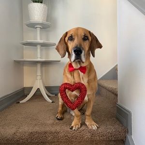 Meet your Posher, Mary